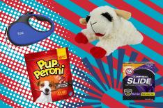 A variety of dog toys and treats on a multicolored background.